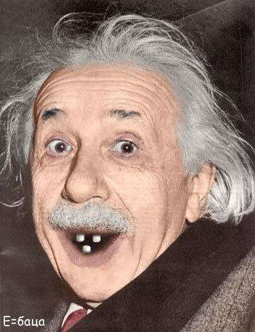 Ейнштейн, прикольна жаба (29 фото)