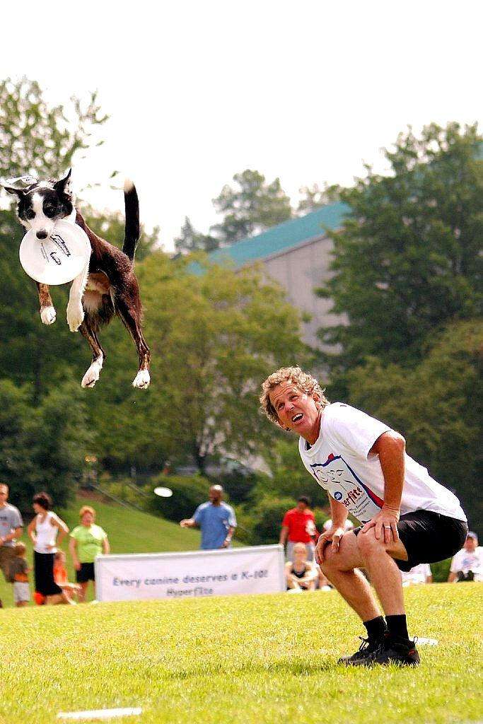 Літаючі собаки (16 фото)