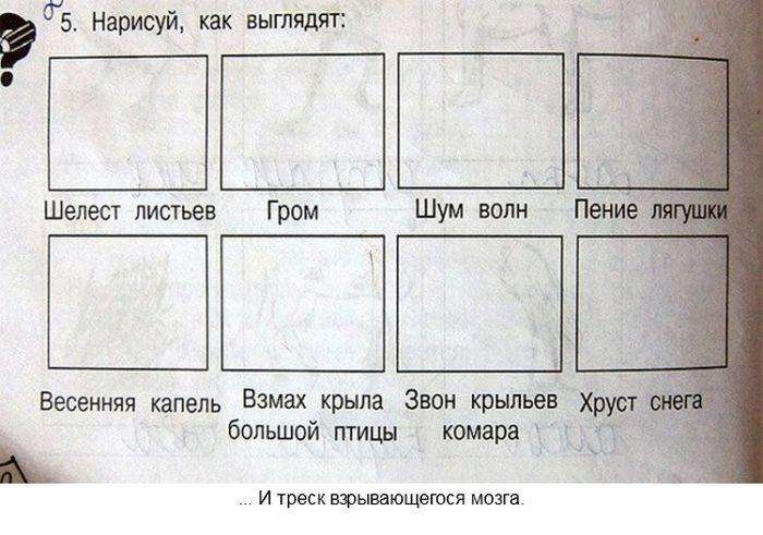 Сучасні підручники для школярів (25 фото)