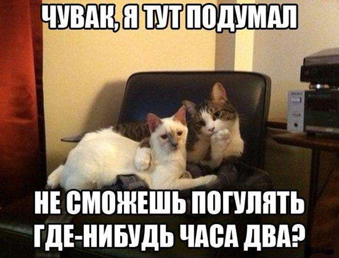 Підбірка прикольних фото №843 (96 фото)
