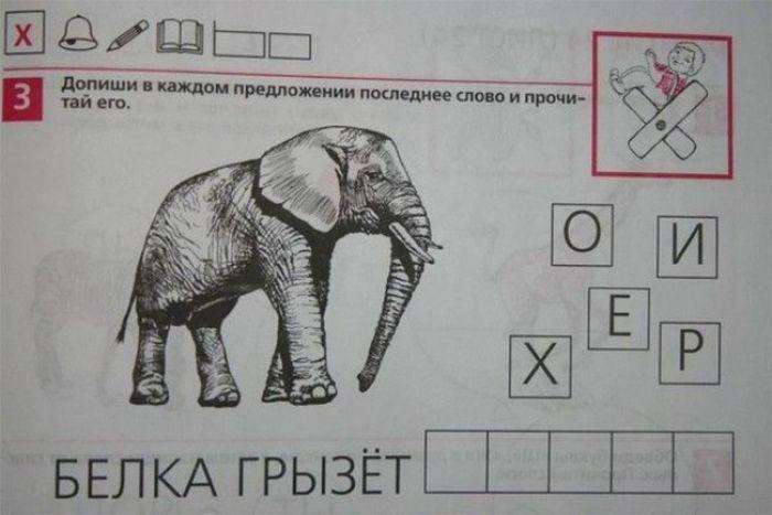 Підбірка прикольних фото №843 (96 фото)
