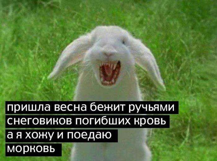 Підбірка прикольних фото №843 (96 фото)