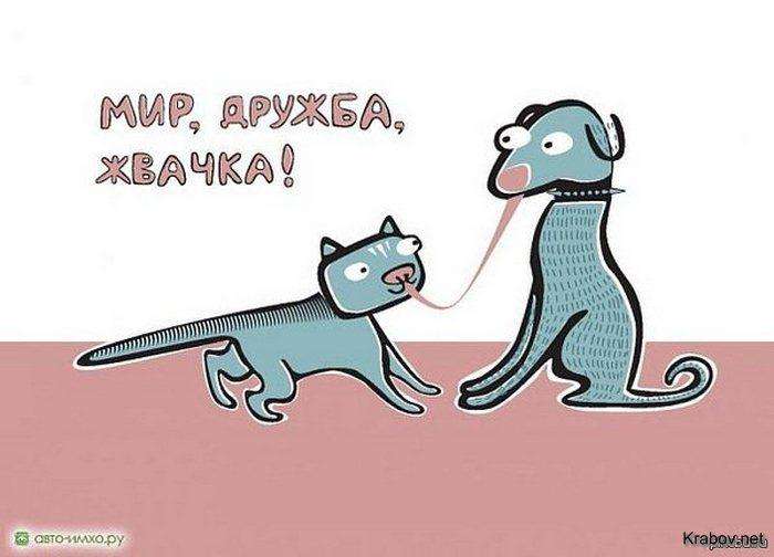 Підбірка коміксів і приколів №74 (45 картинок)