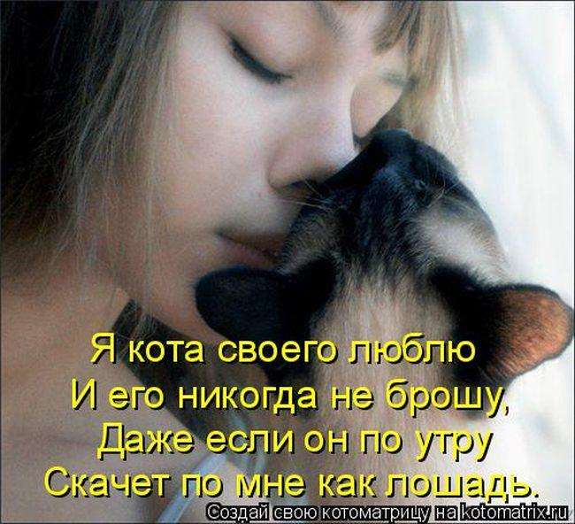 Кращі котоматриці тижні (50 фото)