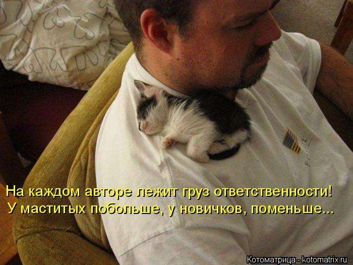 Кращі котоматриці тижні (50 фото)