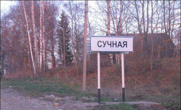 Смішні написи на знаках (26 фото)