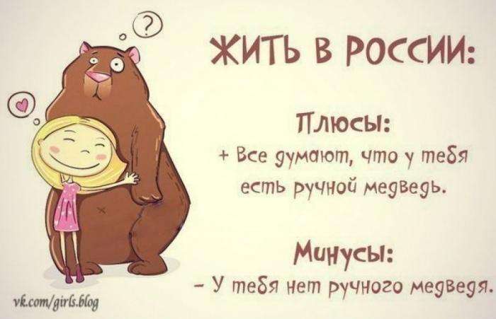 Ведмеді серед нас! (22 фото)