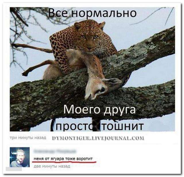 Смішні коментарі із соціальних мереж (24 фото)