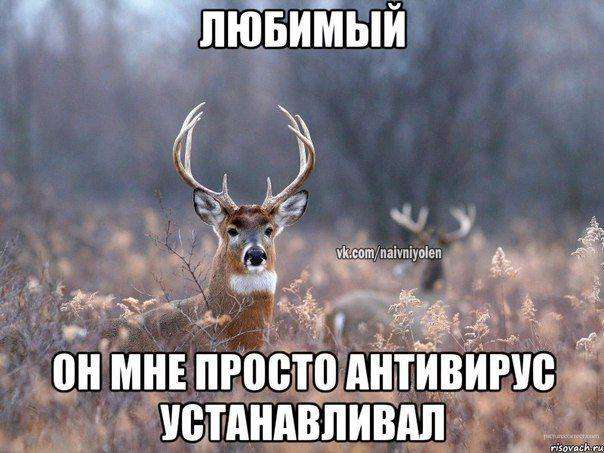 Наївний Олень (44 фото)