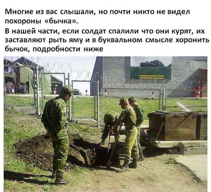 Похорони бичка під час служби в армії (8 фото)