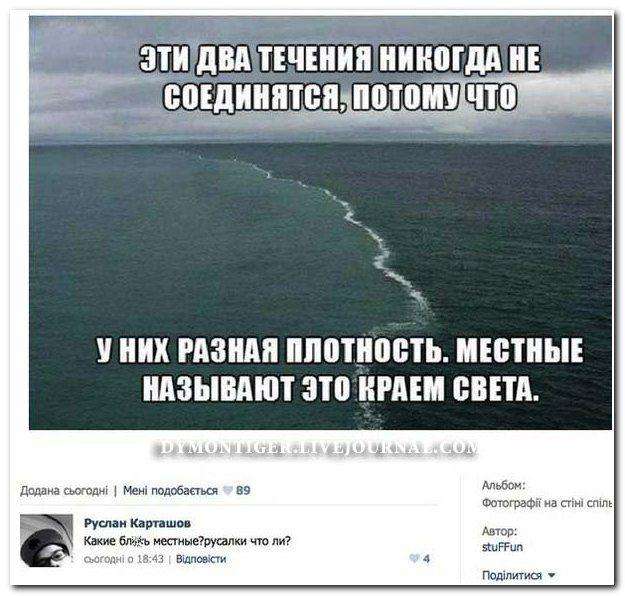 Смішні коментарі із соціальних мереж (37 фото)