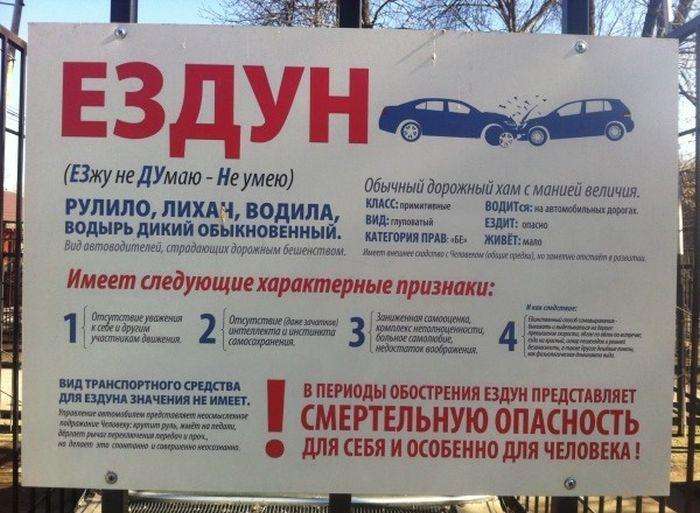 Незвичайний вихованець у липецькому зоопарку (4 фото)