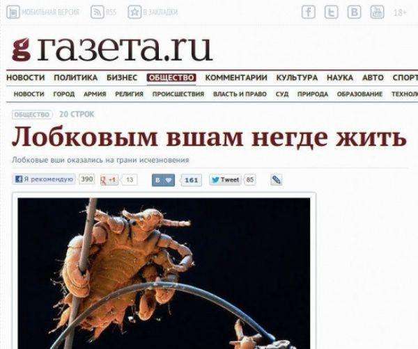 Заголовки новин, один іншого дебільніше (21 фото)