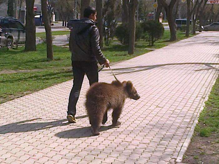 Тільки в Росії (24 фото)