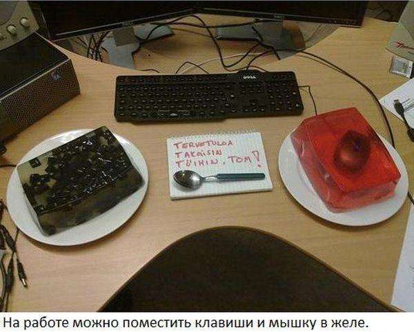 Всіх з 1-го квітня! (33 фото)