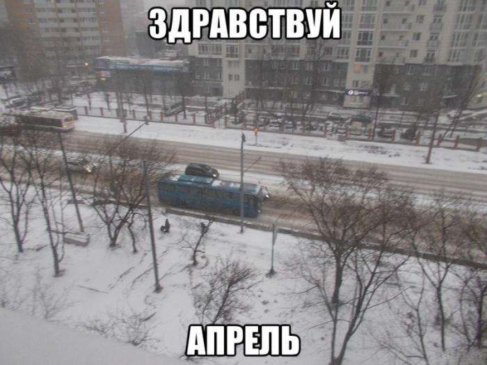 Підбірка прикольних фото №859 (95 фото)