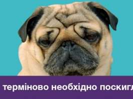 Просто заради поскиглити