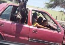 Підбірка прикольних фото №842 (84 фото)