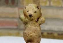 Дивні овочі (15 фото)