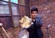 Не треба було цілувати черепаху (5 фото)