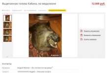 Нове – добре продане старе (12 фото)