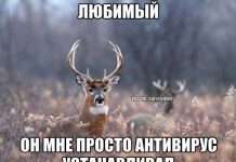 Наївний Олень (44 фото)