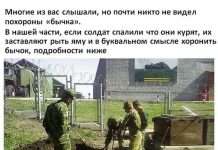 Похорони бичка під час служби в армії (8 фото)