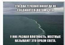 Смішні коментарі із соціальних мереж (37 фото)