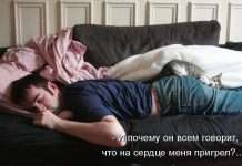 Кращі котоматриці тижні (50 фото)