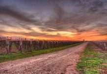 Красиві фотографії (37 фото)