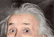 Ейнштейн, прикольна жаба (29 фото)