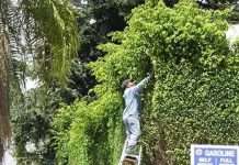 Безпека перш за все (23 фото)