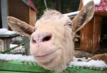 Фотоприколи (20 фото)