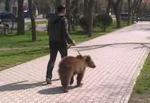 Тільки в Росії (24 фото)