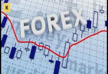 Валютний ринок форекс — forex) – що це і як працює, учасники ринку і правила торгівлі