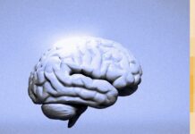 Człowiek, który wynalazł AGI