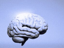 Людина, яка винайшла AGI