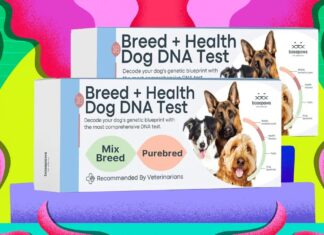 Листопад 2025: Технології, розваги та урядові загрози – основні знижки та сповіщення