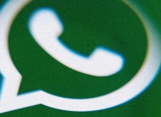 Как бесплатно общаться с ChatGPT в WhatsApp (пока это возможно)