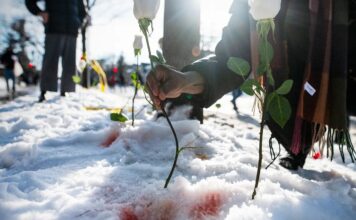 Вбивства ICE: безкарність для агентів, відсутність відповідальності для жертв