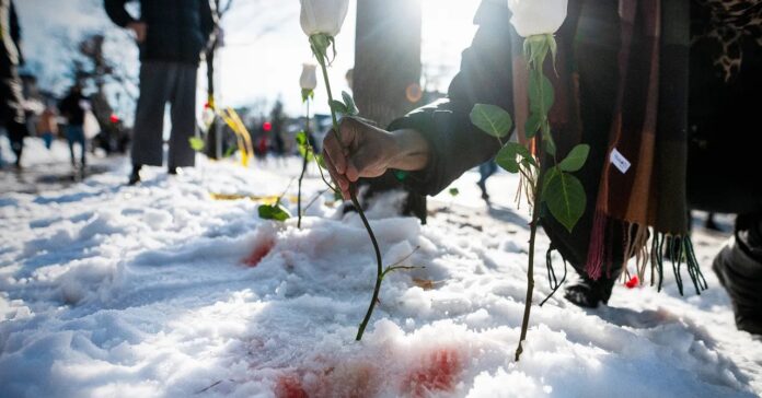 16152621-bb84-4417-84b9-fd08fff83dbd