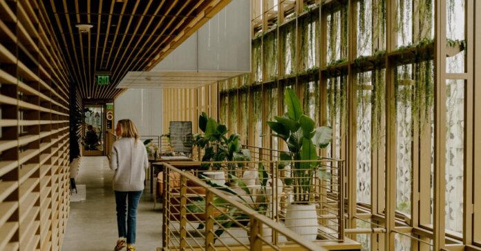 55ae8e0a-1bf0-4f7f-b370-e89e3387bda5