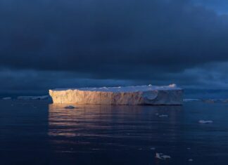 Tech, schandalen en het einde van de wereld: een week in het kort
