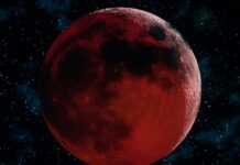 Технології, Наука та Культура: Щотижневий Огляд