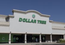 Приготуйтеся зараз: 6-доларові вироби для дерев для зимових штормів