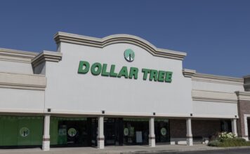 Приготуйтеся зараз: 6-доларові вироби для дерев для зимових штормів