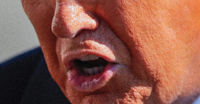 46ab7926-e1a9-4d49-b621-6927b3954ca9