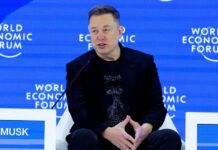 Elon Musk expande presença digital: novas contas verificadas aparecem no TikTok e no Instagram