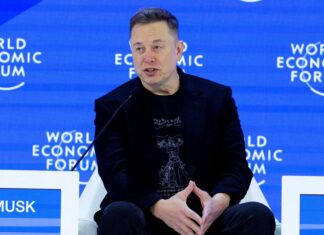 Elon Musk expande presença digital: novas contas verificadas aparecem no TikTok e no Instagram