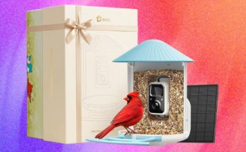 Найкращі пропозиції на розумні годівниці для птахів до Дня матері 2026